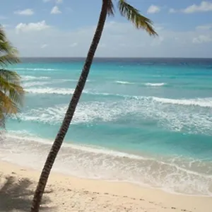 White Sands Beach Villas - D Apartment